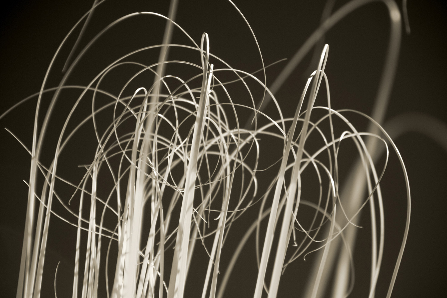 Infrared-109783
