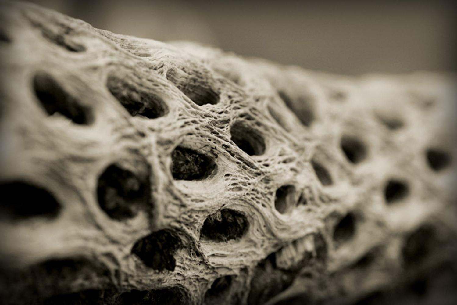 Patterns Of Nature-100205