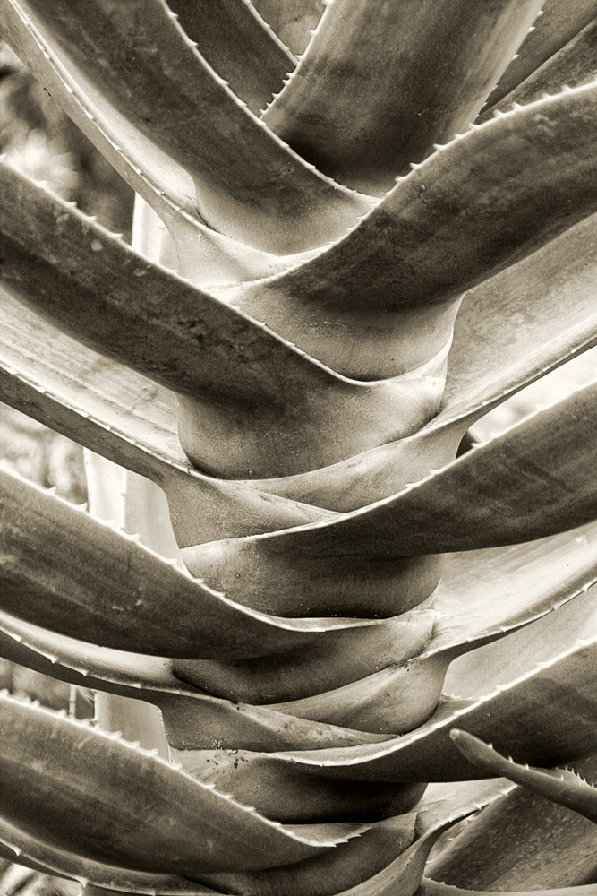 Patterns Of Nature-100909