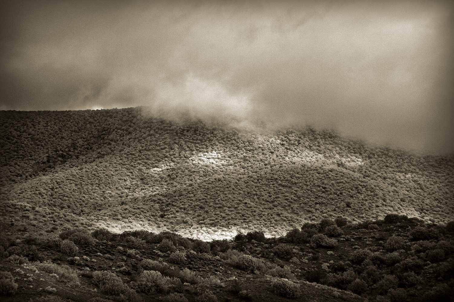 Patterns Of Nature-108364