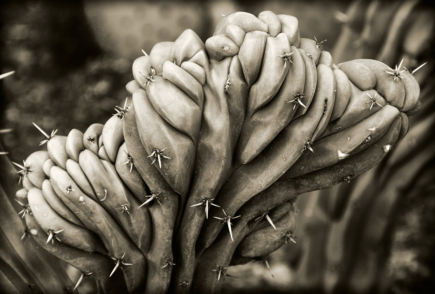 Patterns Of Nature-100846