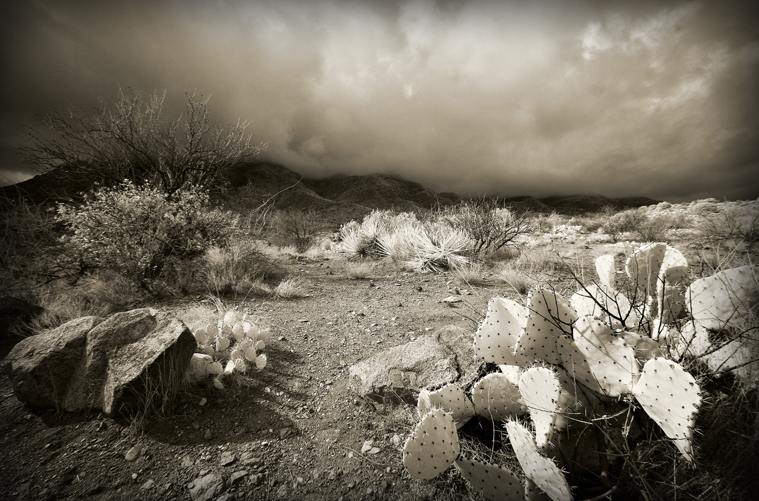 Infrared-108345